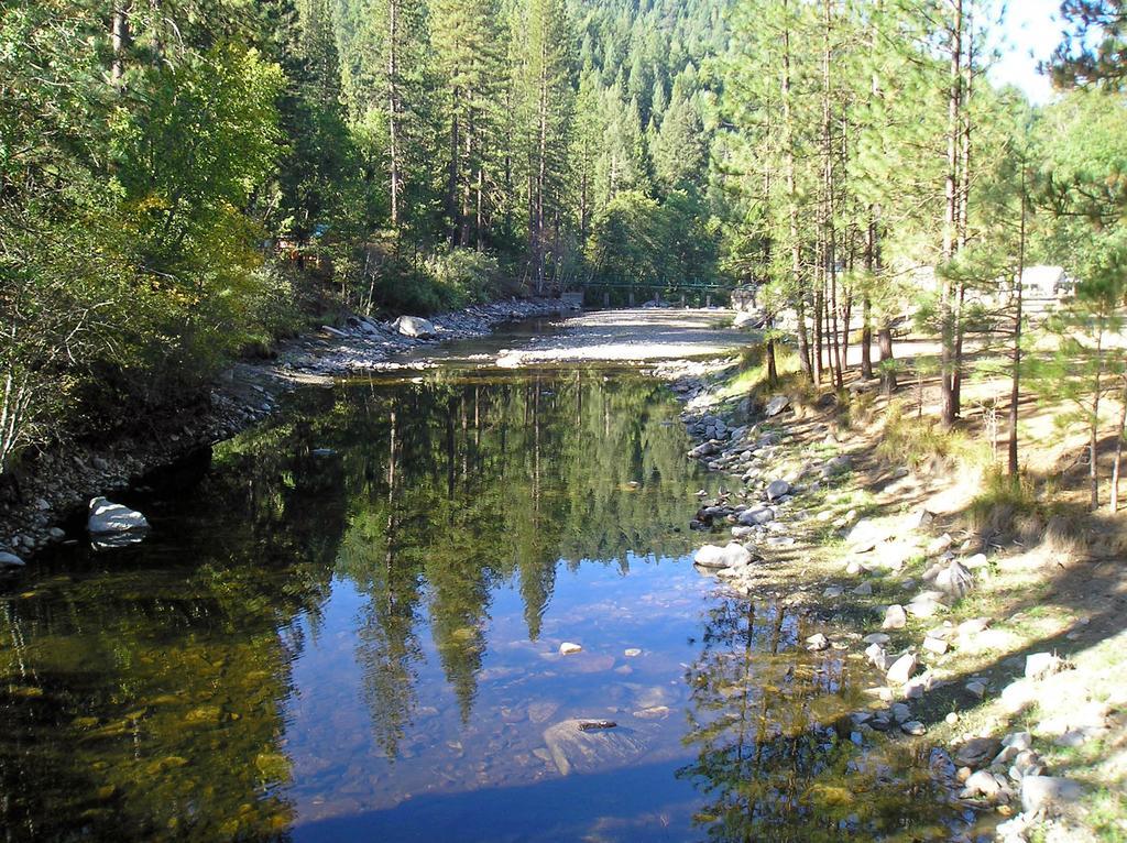 Yosemite Lakes Cottage 52 Harden Flat Kültér fotó